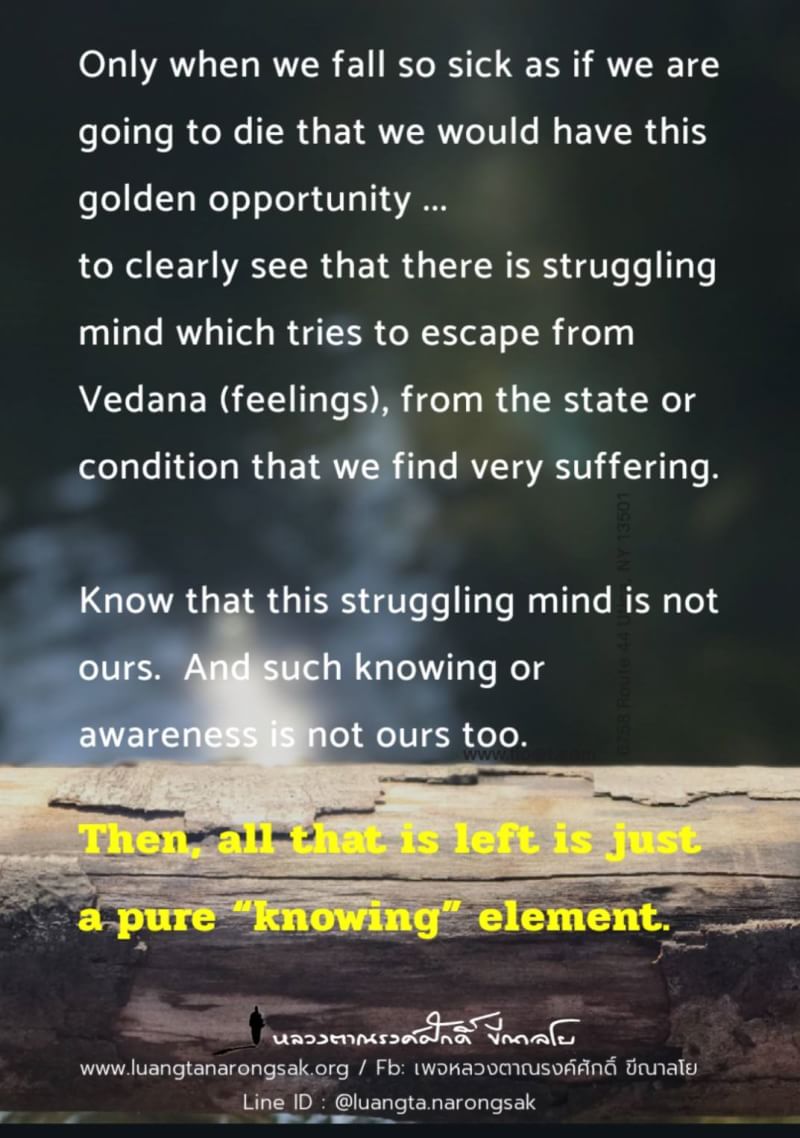 Dhamma Teachings 01 Struggling mind is also fabricated