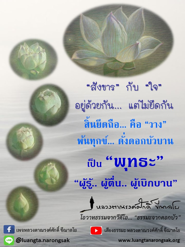 โอวาทธรรม Q1 2562 75