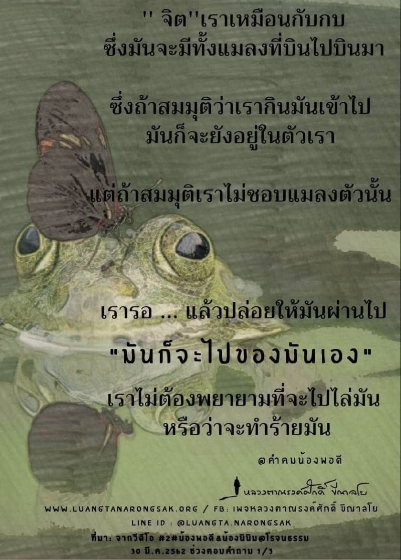 โอวาทธรรม Q1 2562 84 6