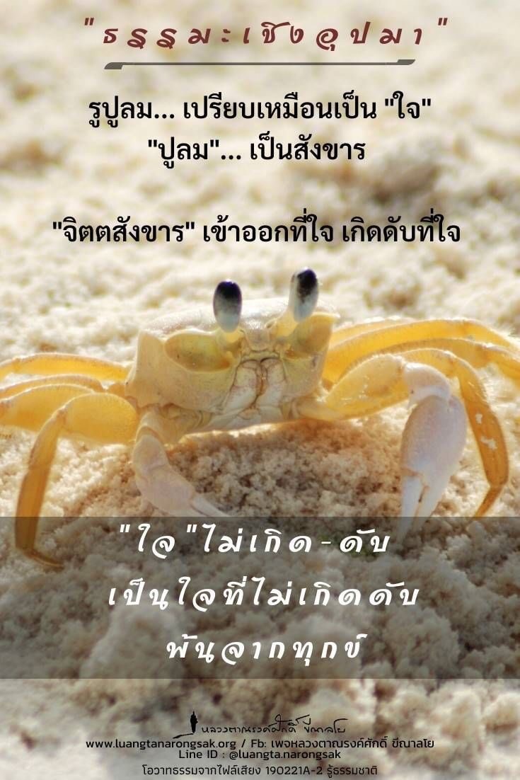 โอวาทธรรม Q1 2562 90