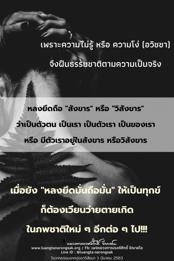 โอวาทธรรม 63 Q1 30 3