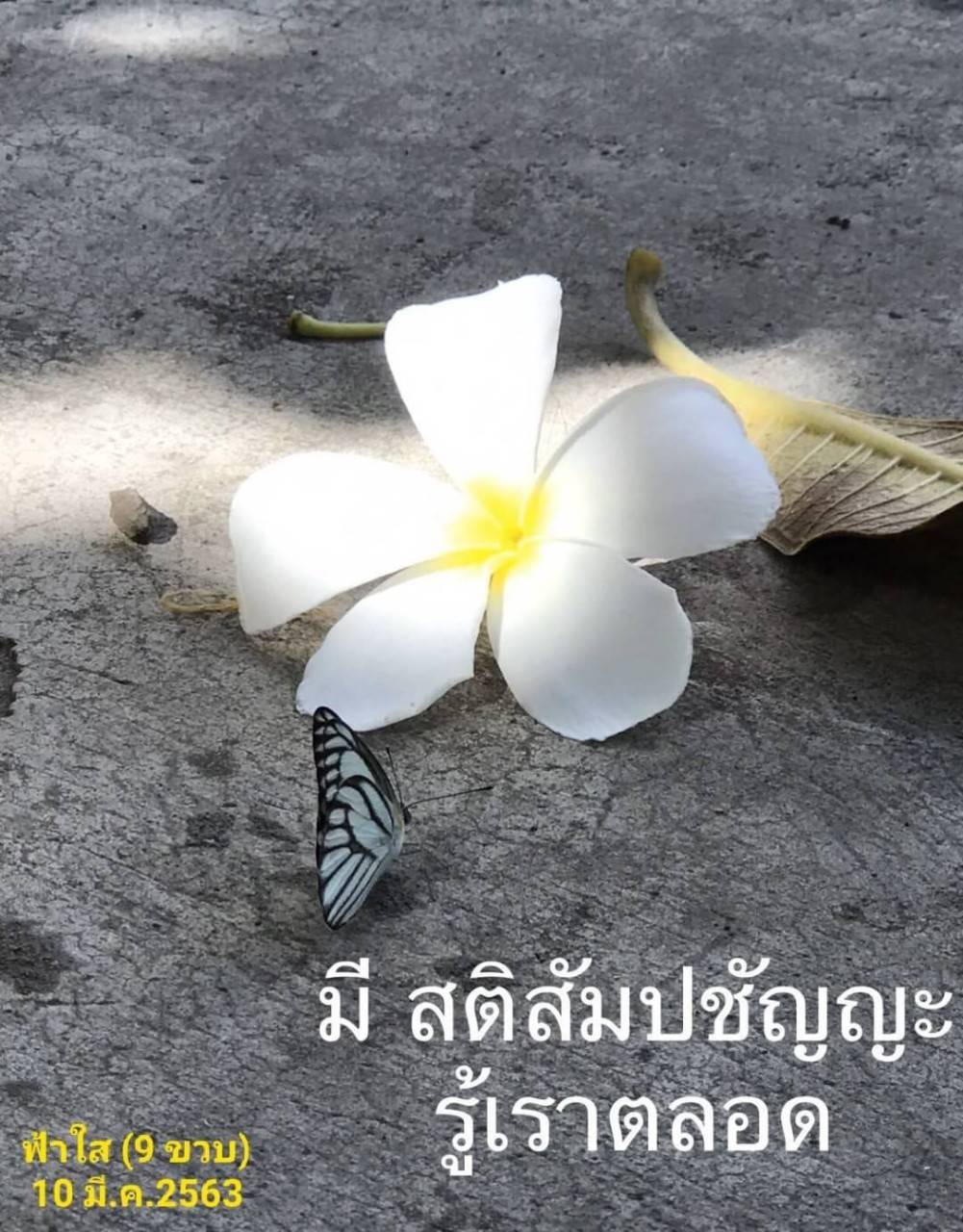 โอวาทธรรม 63 Q1 42 2