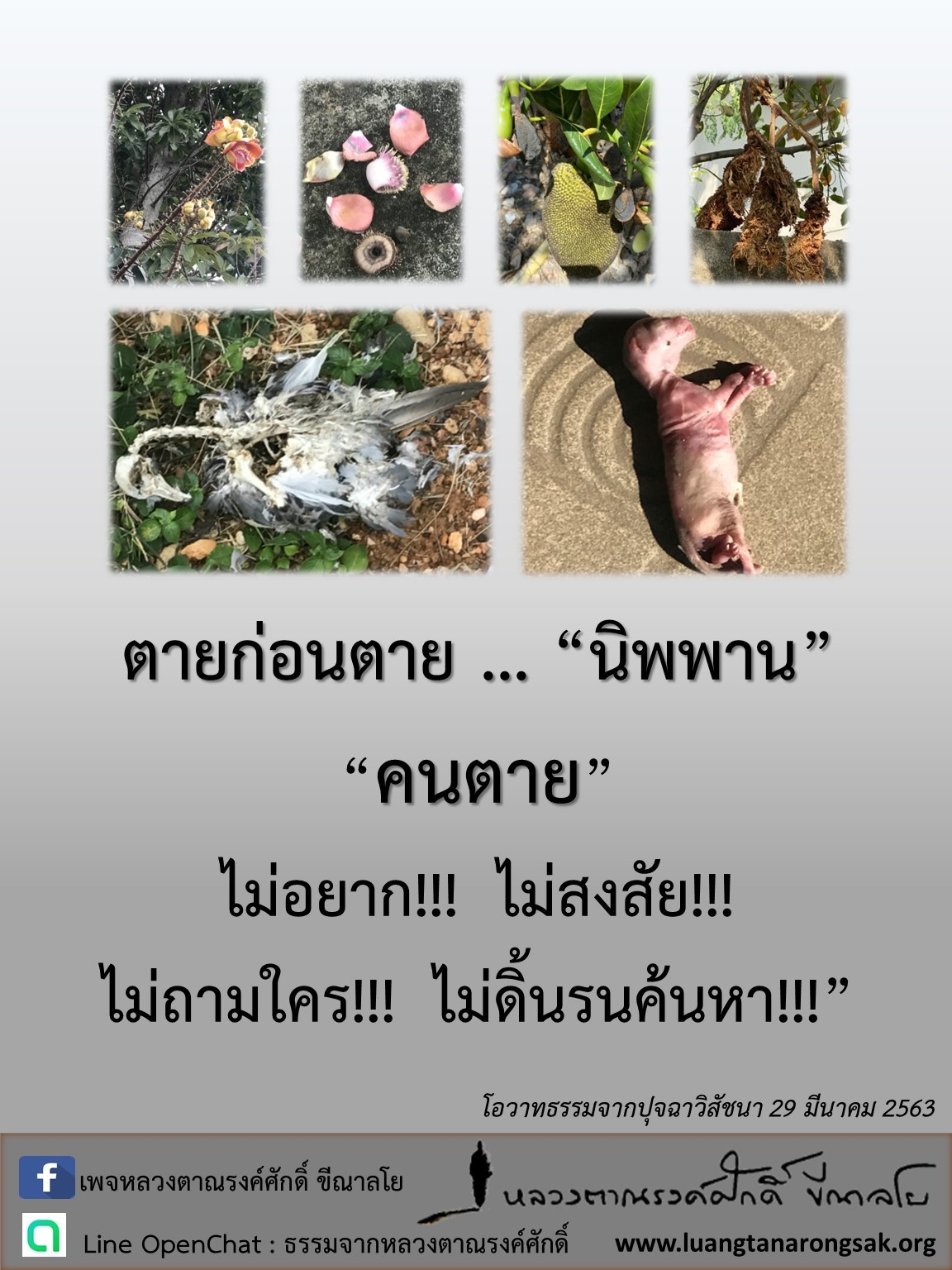 โอวาทธรรม 63 Q1 52 1