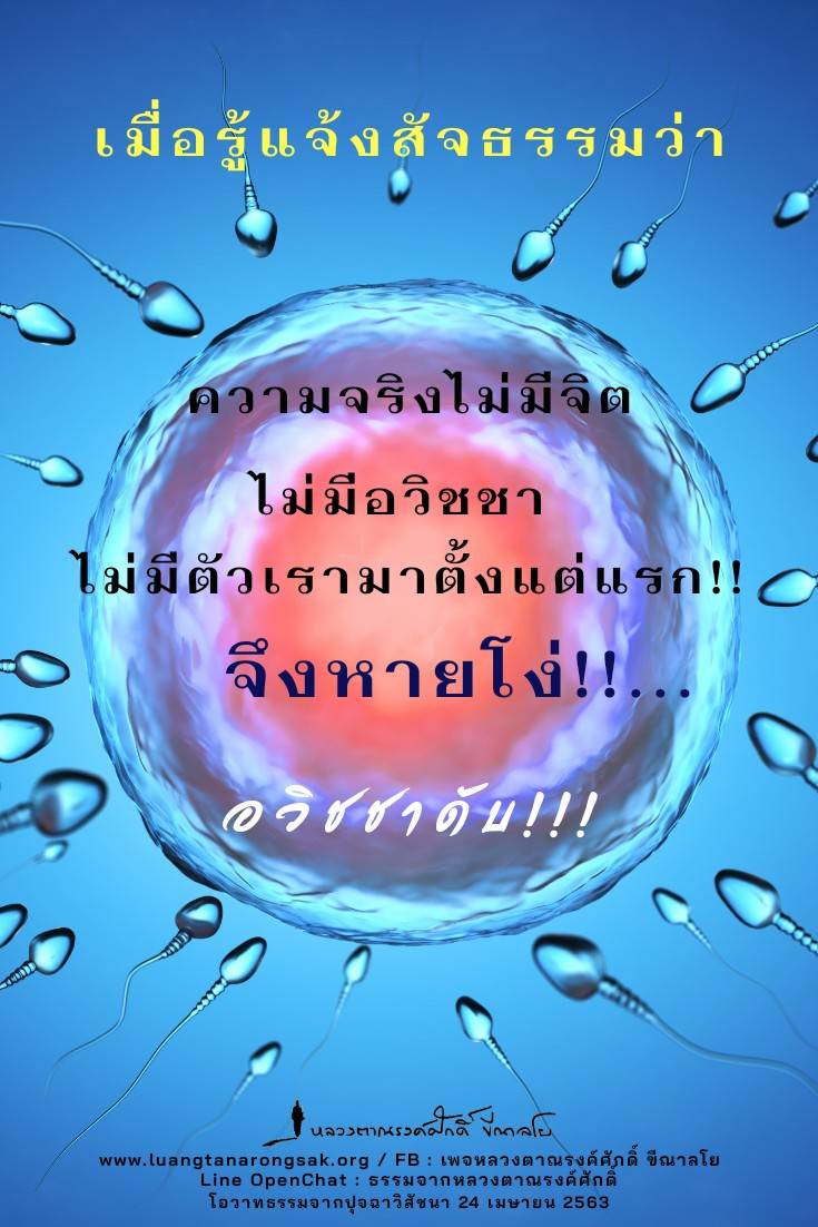 โอวาทธรรม 63 Q2 10 2