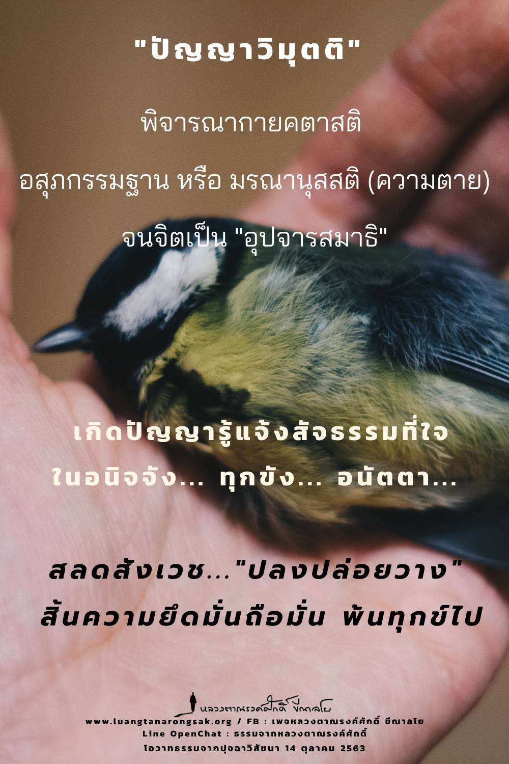 โอวาทธรรม 63 Q4 02 1