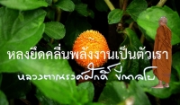 หลงยึดคลื่นพลังงานเป็นตัวเรา