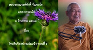 200806A-1 จิตเห็นจิตอย่างแจ่มแจ้ง ตอนที่ 1