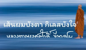 เส้นผมบังตา กิเลสบังใจ