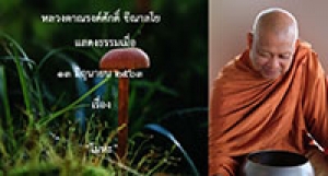 200613A โมหะ