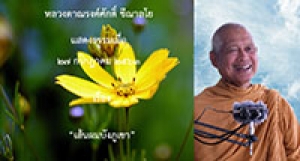 200727A-1 เส้นผมบังภูเขา