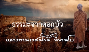 ธรรมะจากดอกบัว