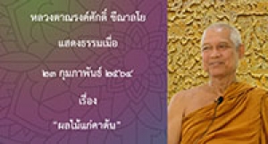 210223A-1 ผลไม้แก่คาต้น