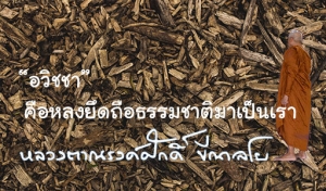 “อวิชชา” คือหลงยึดถือธรรมชาติมาเป็นเรา
