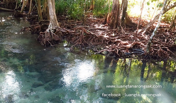 น้อมนำเอาธรรมเข้ามาสู่ใจ