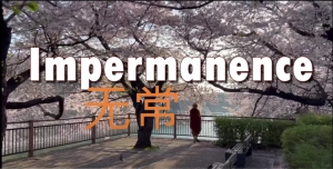 Impermanence (Chinese Subtitle)