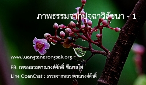 ภาพธรรมจากปุจฉาวิสัชนา - 1