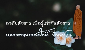 อาศัยสังขาร เพื่อรู้เท่าทันสังขาร