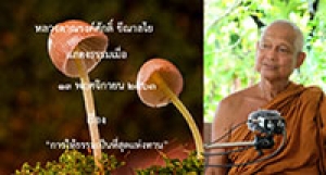 201113B-3 การให้ธรรมเป็นที่สุดแห่งทาน