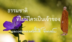 ธรรมชาติที่ไม่มีใครเป็นเจ้าของ