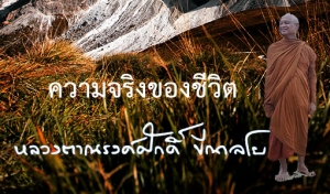 ความจริงของชีวิต