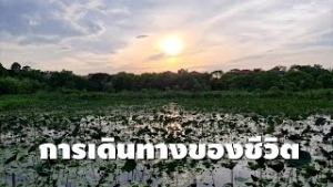 220526 การเดินทางของชีวิต