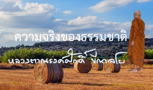 ความจริงของธรรมชาติ