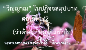 “วิญญาณ” ในปฏิจจสมุปบาท ตอนที่ 1/2 (ว่าด้วยภาคความเข้าใจ)