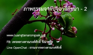 ภาพธรรมจากปุจฉาวิสัชนา - 2