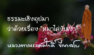 ธรรมะเชิงอุปมา ว่าด้วยเรื่อง &quot;หมาไล่งับเงา&quot;