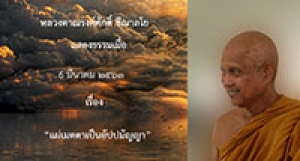 200306B-1 แผ่เมตตาเป็นอัปปมัญญา