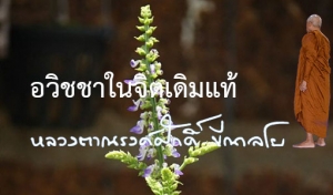 อวิชชาในจิตเดิมแท้