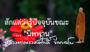 สักแต่ว่ารู้ปัจจุบันขณะ ... &quot;นิพพาน&quot;