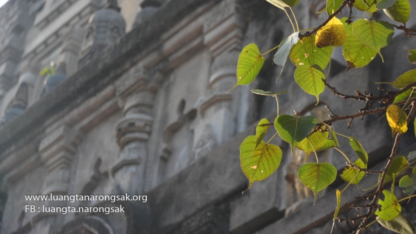 ปรารถนานิพพานในปัจจุบัน ถอนอธิษฐานให้ขาด