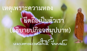 เหตุเพราะความหลงยึดถือเป็นตัวเรา (อธิบายปฏิจจสมุปบาท)