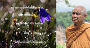 201114B-5 ไม่มีใครสามารถฝืนสัจธรรม