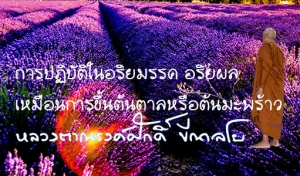 การปฏิบัติในอริยมรรค อริยผลเหมือนการขึ้นต้นตาลหรือต้นมะพร้าว