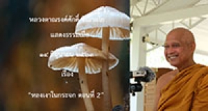 200614A2-2 หลงเงาในกระจก ตอนที่ 2