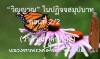 “วิญญาณ” ในปฏิจจสมุปบาท ตอนที่ 2/2 (ว่าด้วยภาคปฏิบัติ)